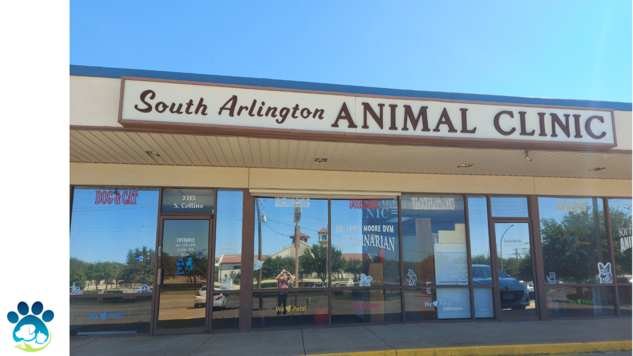 About South Arlington Animal Clinic Vet In Arlington, TX 76014