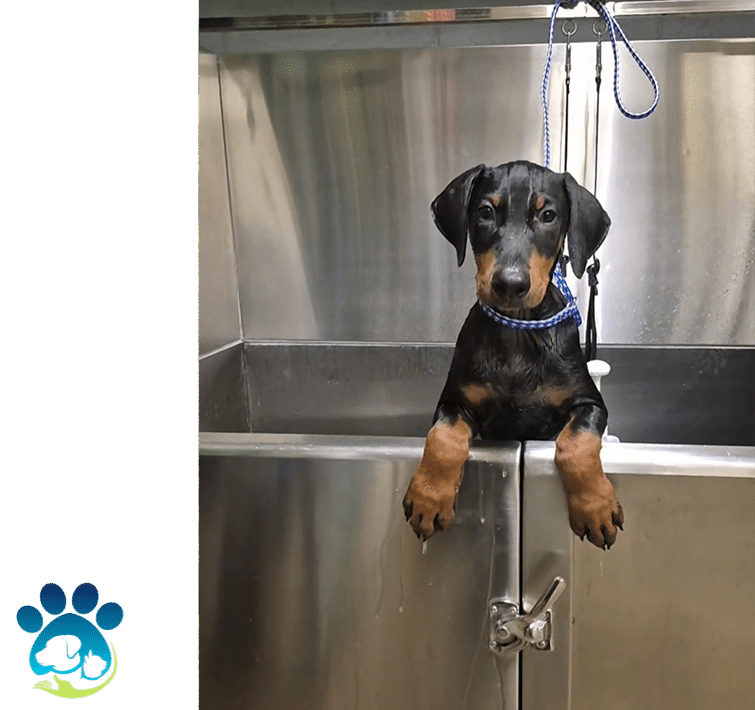 bane in tub